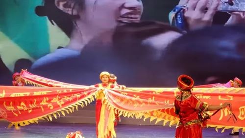 宜昌龙狮专委会赴厦参赛载誉归来， 多项大奖彰显实力与风采(图7)