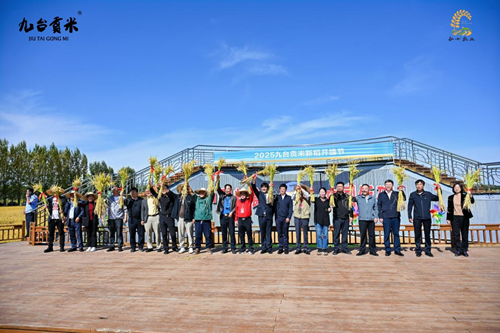九台贡米新稻开镰 合十农业谱新篇(图3) 九台贡米新稻开镰 合十农业谱新篇(图3)
