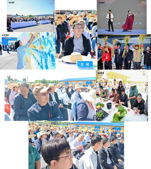 九台贡米新稻开镰 合十农业谱新篇(图7) 九台贡米新稻开镰 合十农业谱新篇(图7)