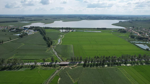 农安县三岗镇永远村:兵支书领航振兴路,特色物产誉乡邻(图4) 农安县三岗镇永远村:兵支书领航振兴路,特色物产誉乡邻(图4)