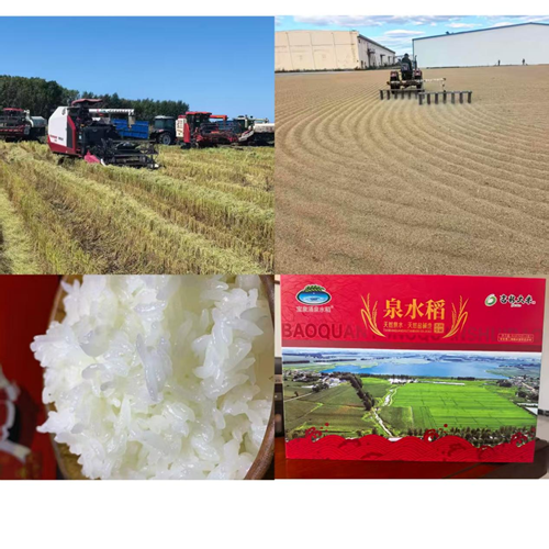 农安县三岗镇永远村:兵支书领航振兴路,特色物产誉乡邻(图5) 农安县三岗镇永远村:兵支书领航振兴路,特色物产誉乡邻(图5)