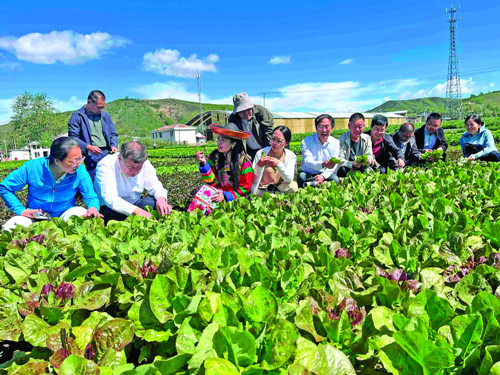 特色产业蓬勃发展 品牌建设成效显著:青海海东特色农业结硕果(图4) 特色产业蓬勃发展 品牌建设成效显著:青海海东特色农业结硕果(图4)